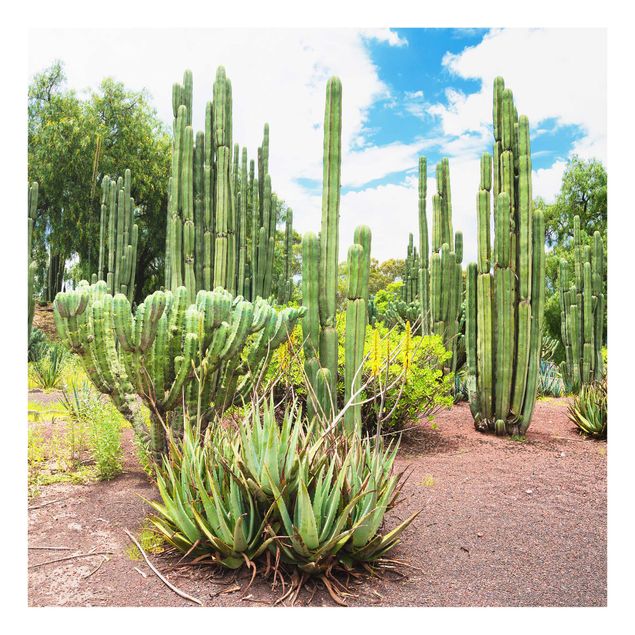 Glasbilleder landskaber Cactus Landscape