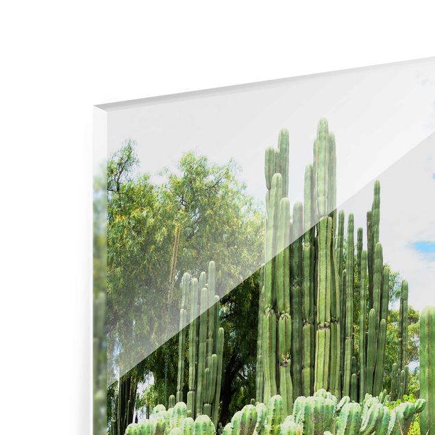 Glasbilleder blomster Cactus Landscape