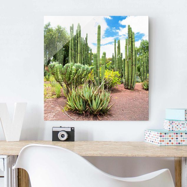 Billeder grøn Cactus Landscape