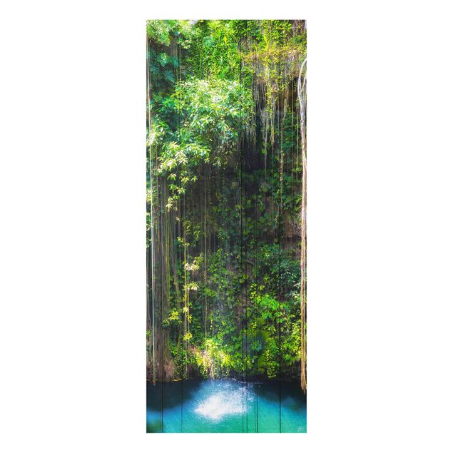 Billeder landskaber Hanging Roots Of Ik-Kil Cenote