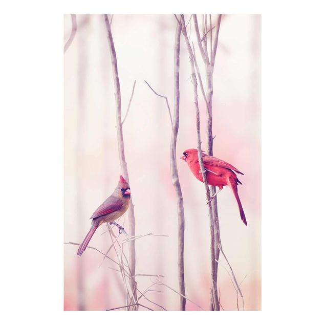 Billeder lyserød Birds on Branches