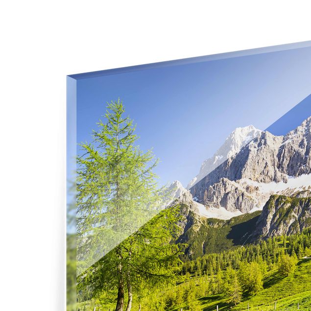 Billeder moderne Styria Alpine Meadow