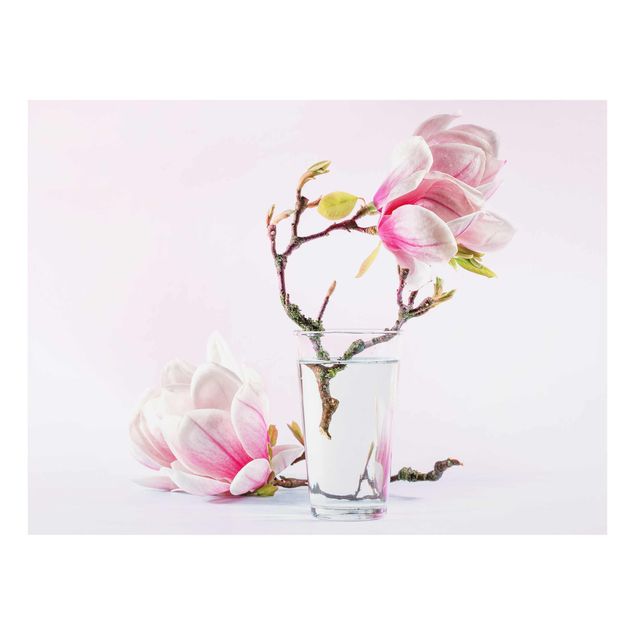 Billeder Magnolia In A Glass