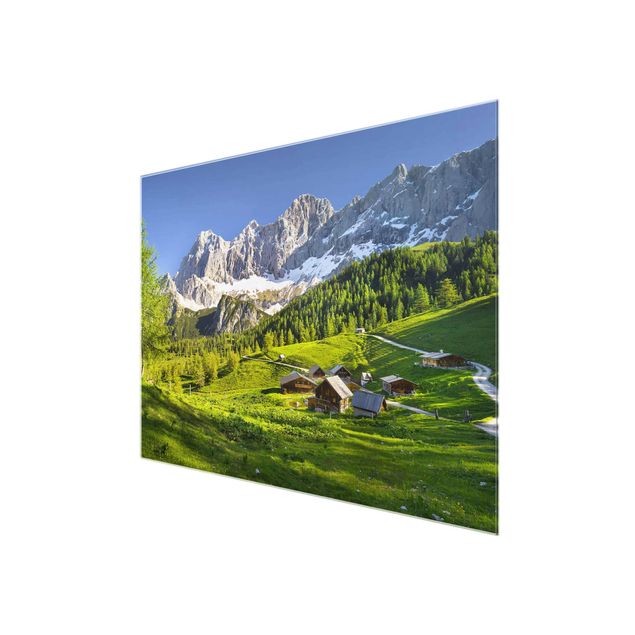 Billeder natur Styria Alpine Meadow