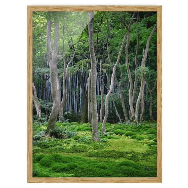 Indrammede plakater landskaber Japanese Forest