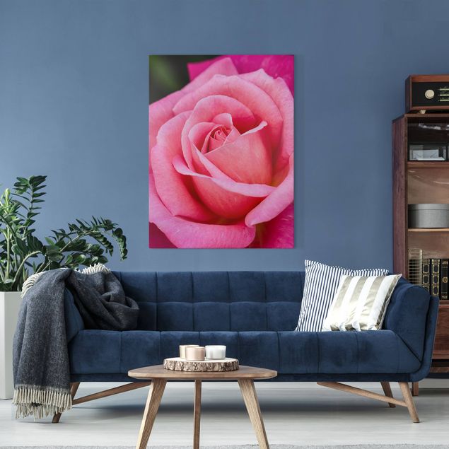 Billeder på lærred roser Pink Rose Flowers Green Backdrop