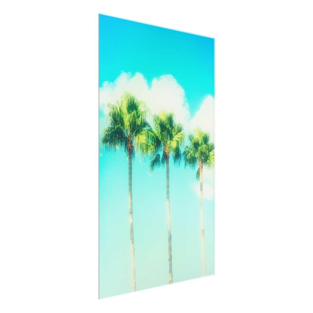 Glasbilleder blomster Palm Trees Against Blue Sky