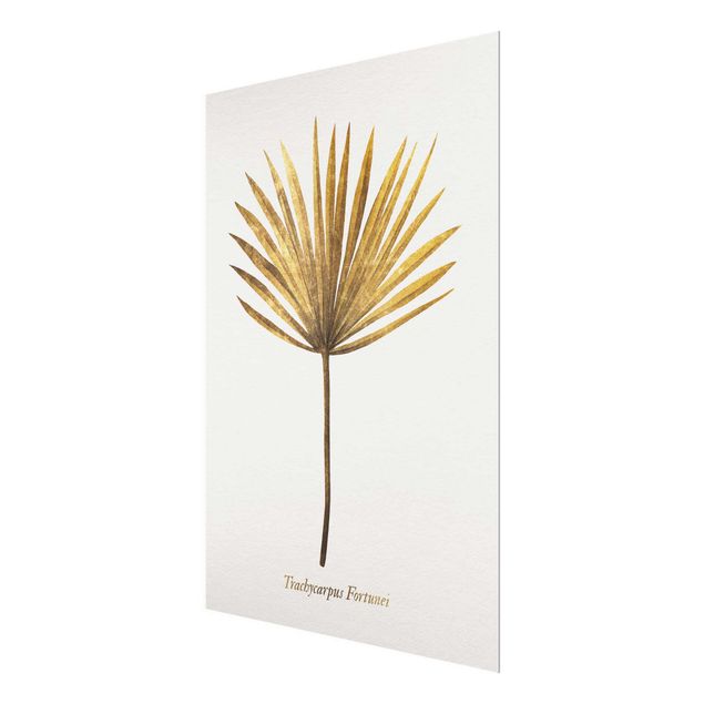 Billeder Gold - Palm Leaf