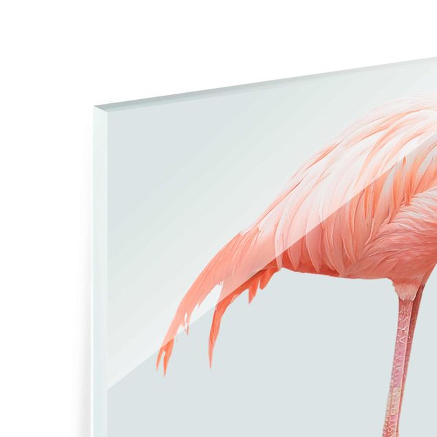 Billeder Flamingo With High Heels