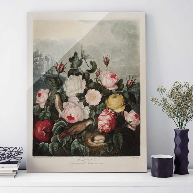 Glasbilleder roser Botany Vintage Illustration Of Roses