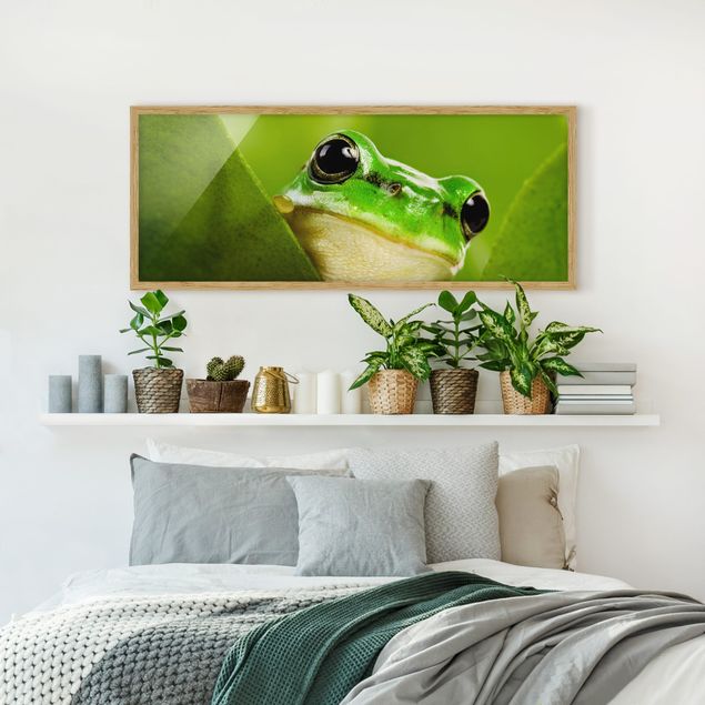 Indrammede plakater dyr Frog