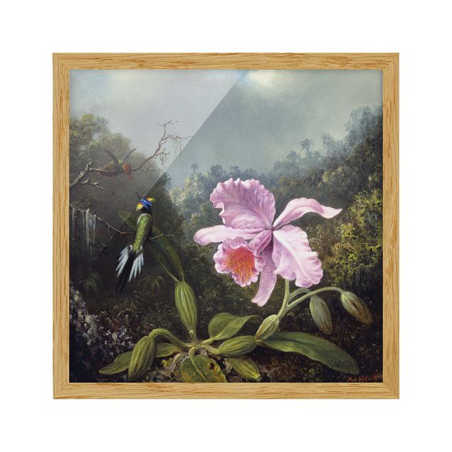 Indrammede plakater blomster Martin Johnson Heade - Still Life With An Orchid And A Pair Of Hummingbirds
