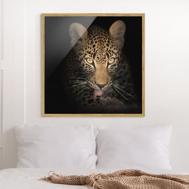 Indrammede plakater sort og hvid Resting Leopard
