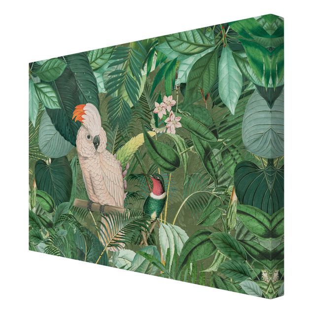 Billeder grøn Vintage Collage - Kakadu And Hummingbird