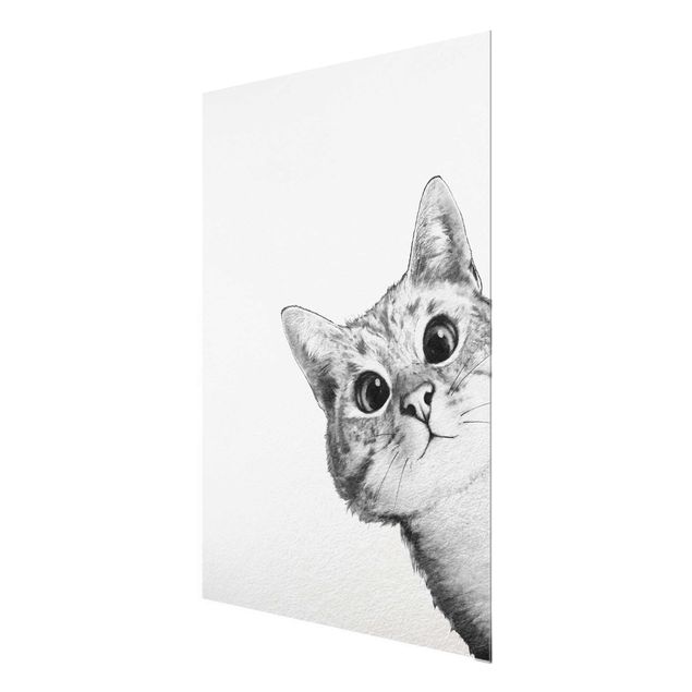 Glasbilleder dyr Illustration Cat Drawing Black And White