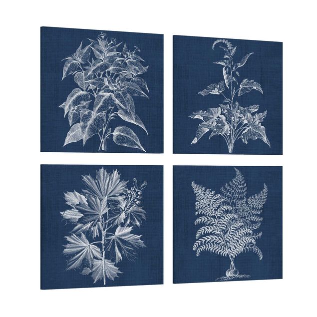 Billeder blå Denim Plant Study Set II