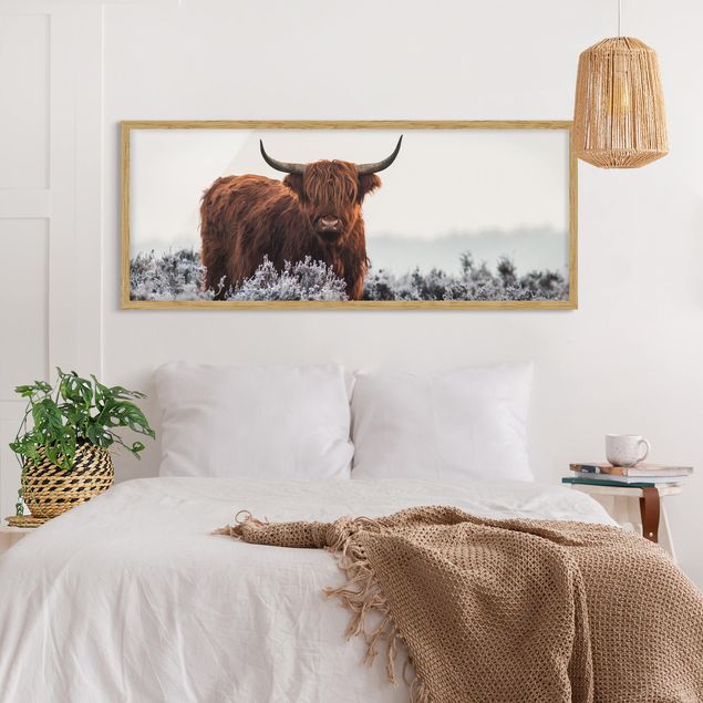 Billeder moderne Bison In The Highlands