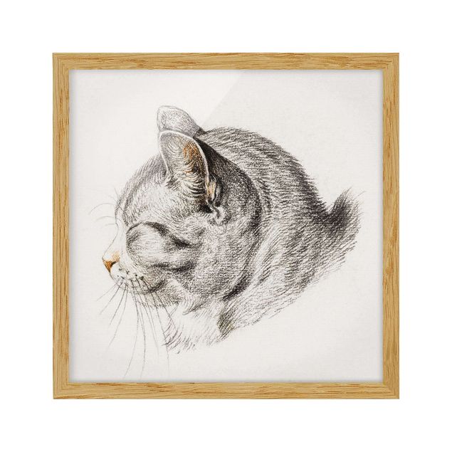 Indrammede plakater dyr Vintage Drawing Cat III