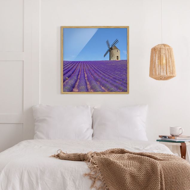 Billeder arkitektur og skyline Lavender Scent In The Provence