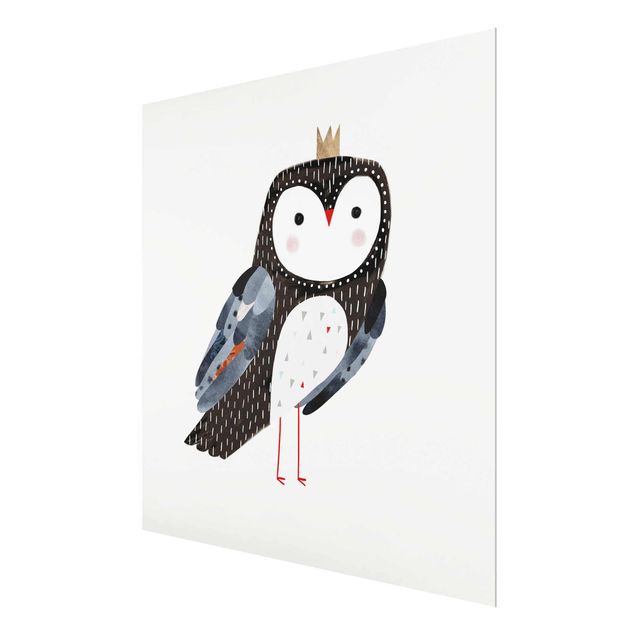 Glas magnettavla Crowned Owl Dark