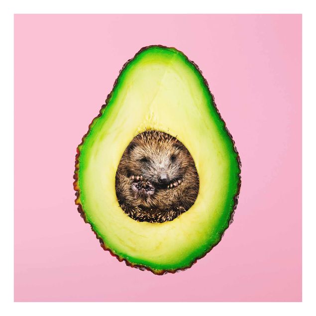 Billeder kunsttryk Avocado With Hedgehog