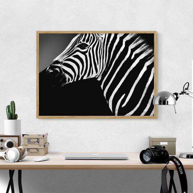 Indrammede plakater sort og hvid Zebra Safari Art
