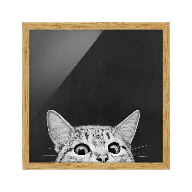 Indrammede plakater sort og hvid Illustration Cat Black And White Drawing