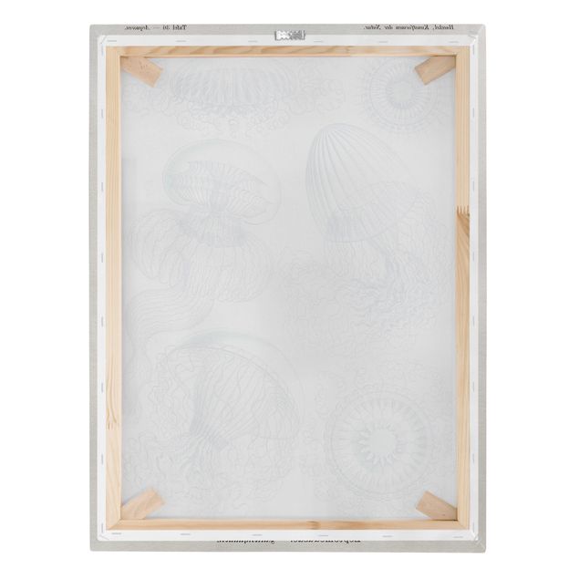 Lærredsbilleder Vintage Board Jellyfish In Blue
