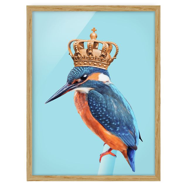 Billeder moderne Kingfisher With Crown