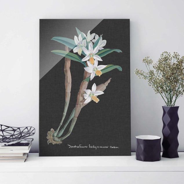 Glasbilleder orkideer White Orchid On Linen I