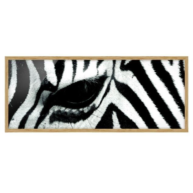 Indrammede plakater dyr Zebra Crossing