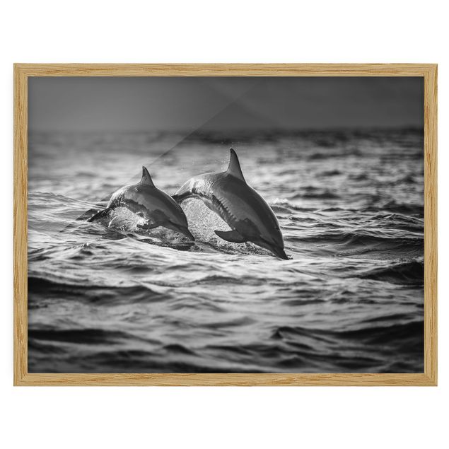 Indrammede plakater dyr Two Jumping Dolphins
