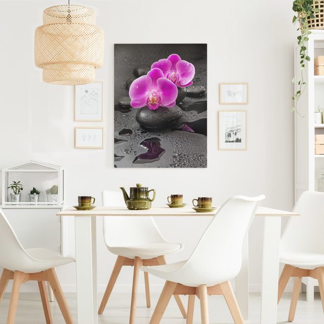 Billeder på lærred orkideer Pink Orchid Flower On Stones With Drops
