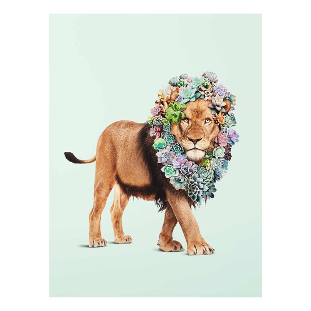 Glasbilleder blomster Lion With Succulents