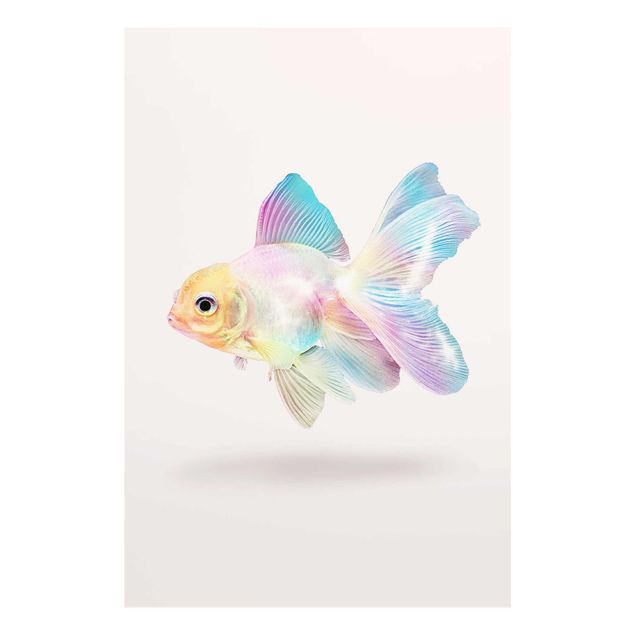 Billeder moderne Fish In Pastel