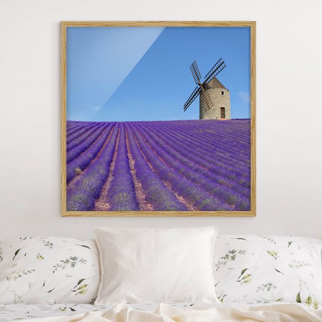 køkken dekorationer Lavender Scent In The Provence