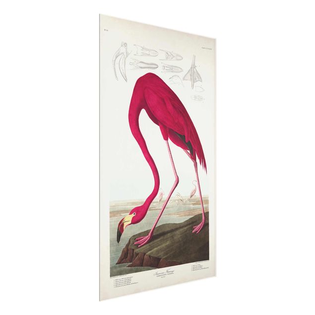 Billeder blomster Vintage Board American Flamingo