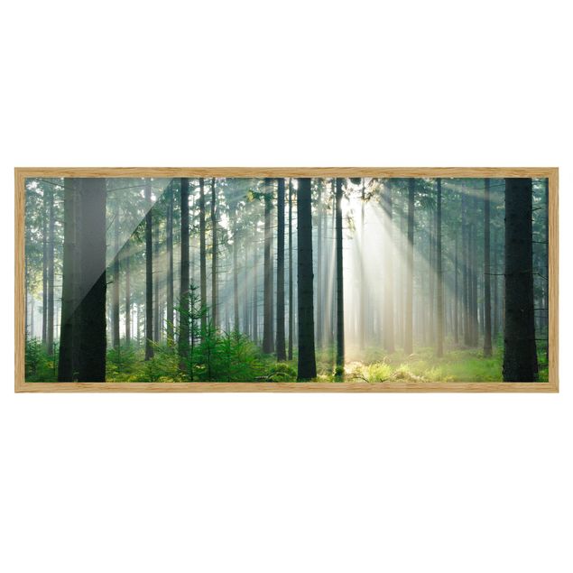 Indrammede plakater landskaber Enlightened Forest