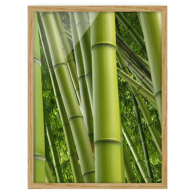 Indrammede plakater blomster Bamboo Trees No.2