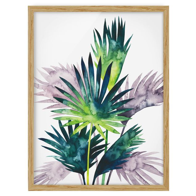 Billeder blomster Exotic Foliage - Fan Palm