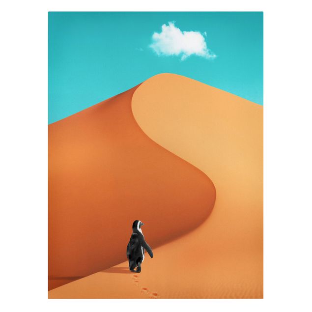 Billeder på lærred kunsttryk Desert With Penguin