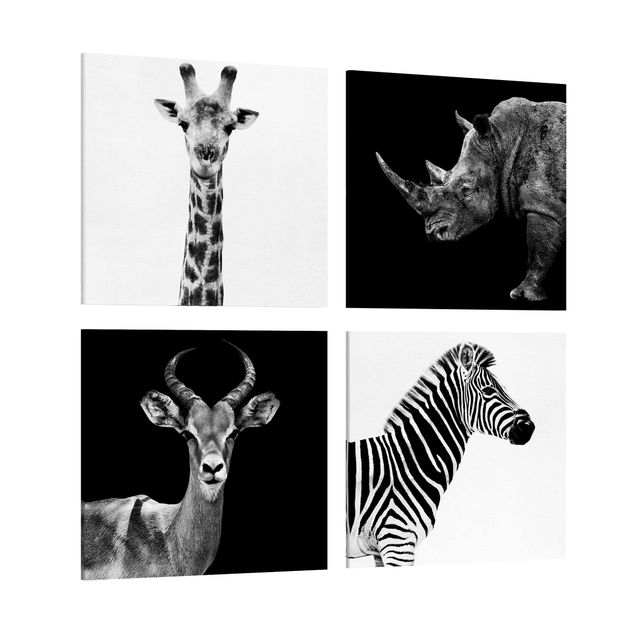 Billeder på lærred sort og hvid Safari Quartet