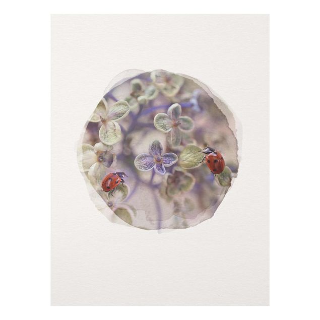 Billeder blomster WaterColours - Ladybugs In The Garden