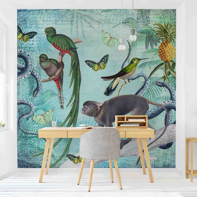 Sommerfugle tapet Colonial Style Collage - Monkeys And Birds Of Paradise
