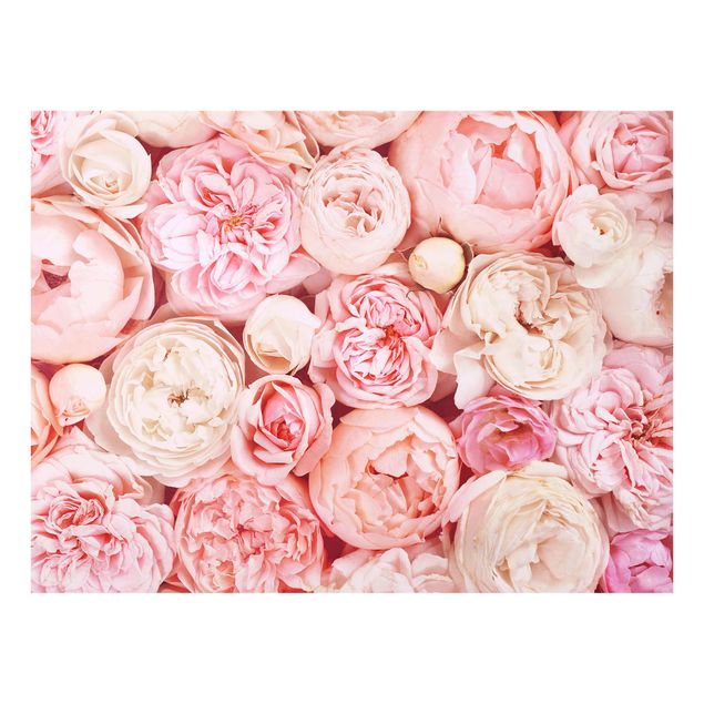 Billeder blomster Roses Rosé Coral Shabby