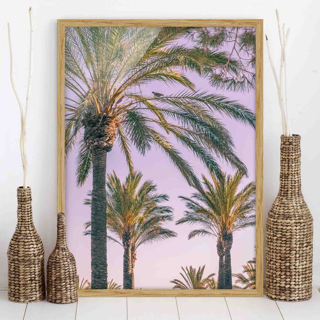 køkken dekorationer Palm Trees At Sunset