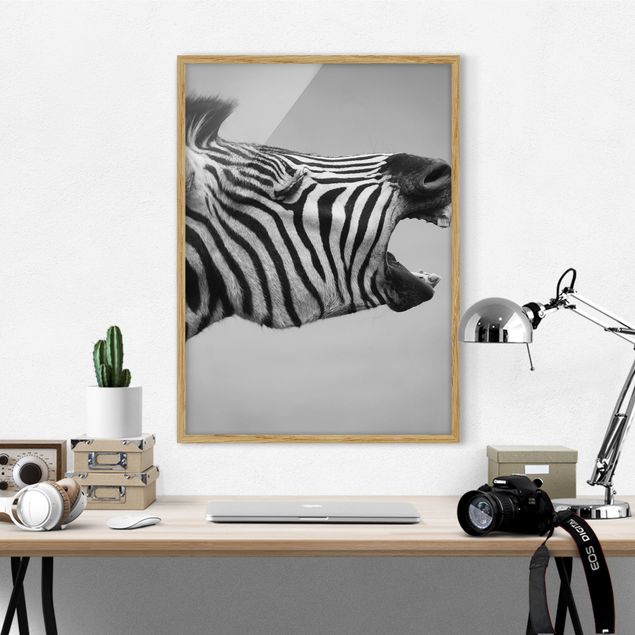 Billeder zebraer Roaring Zebra ll