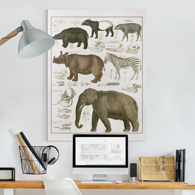 Billeder på lærred elefanter Vintage Board Elephant, Zebra And Rhino