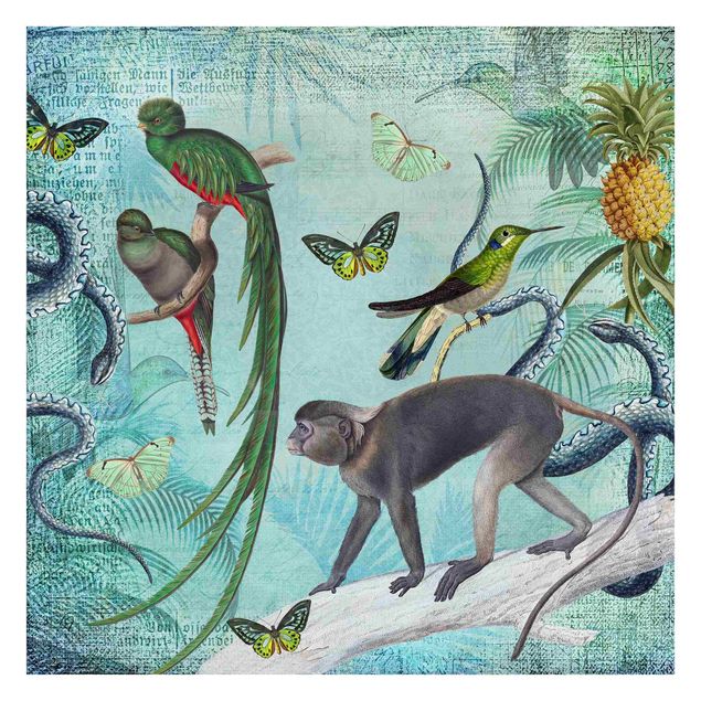 Tapet dyr Colonial Style Collage - Monkeys And Birds Of Paradise