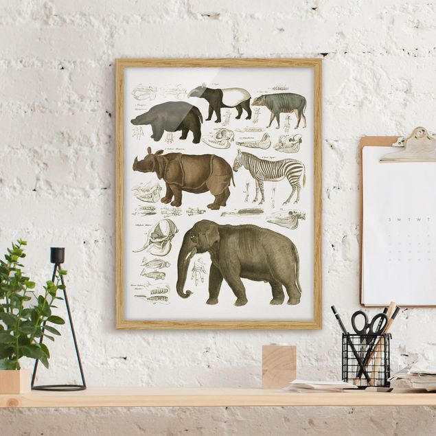 køkken dekorationer Vintage Board Elephant, Zebra And Rhino